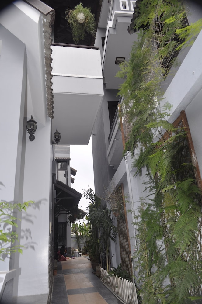 Green Coco Homestay Hoi An 5/91