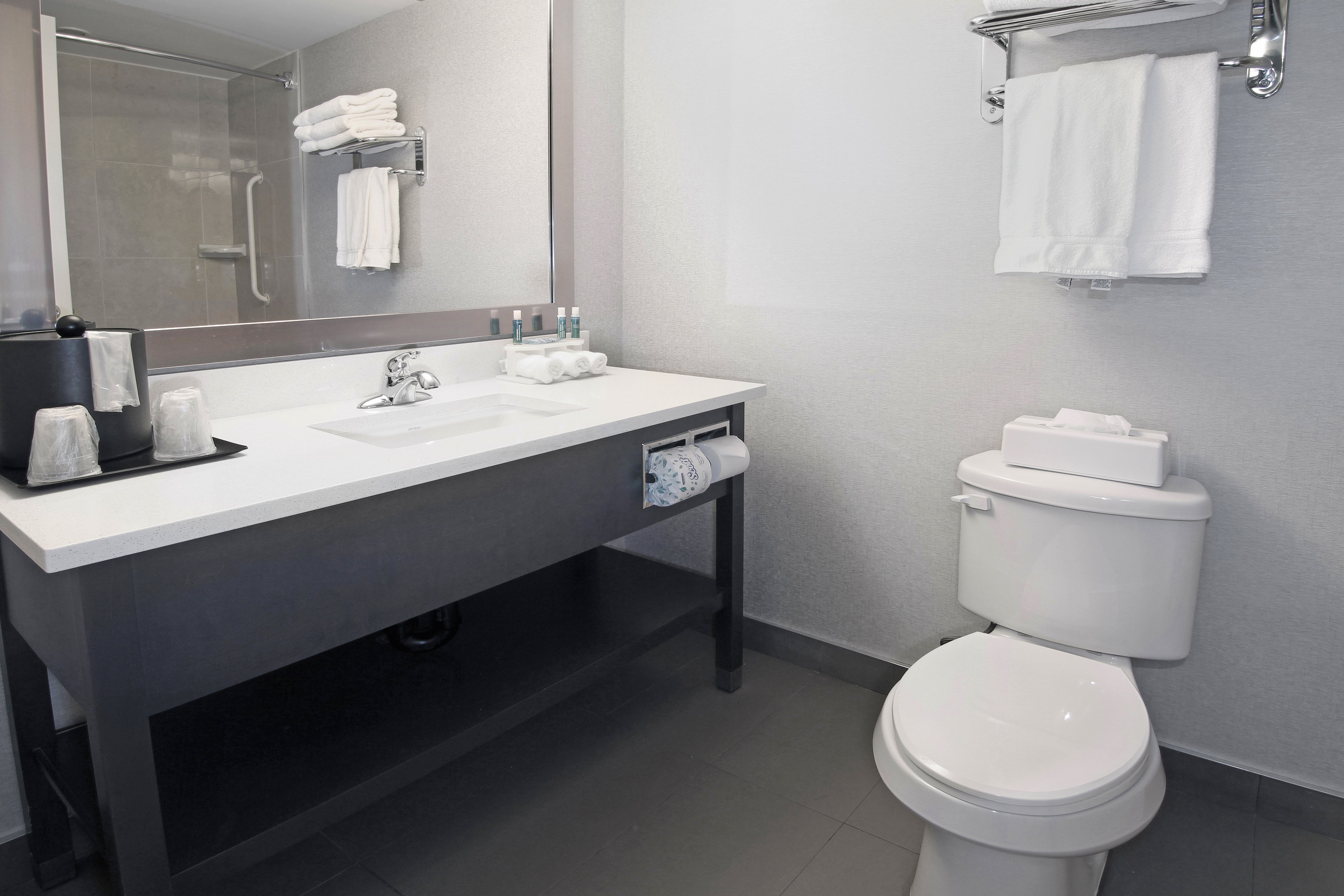 Holiday Inn Express Hotel & Suites Calgary 67/71