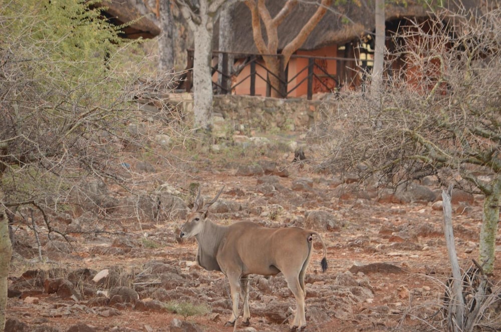 Ohange Namibia Lodge 41/50