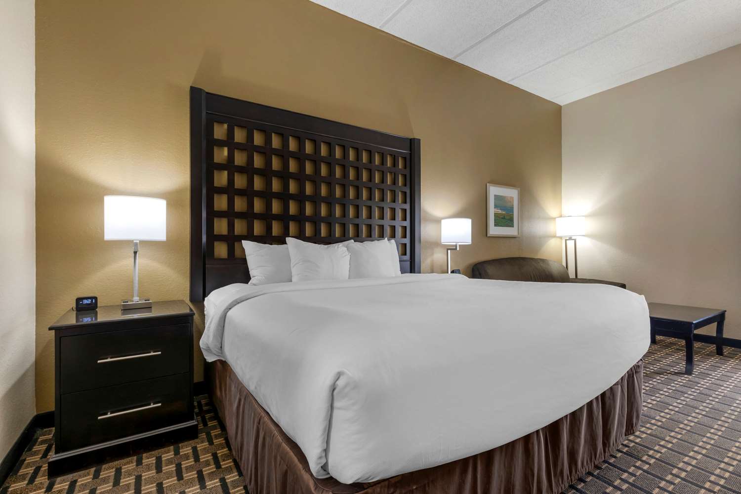 Suite, King Bed