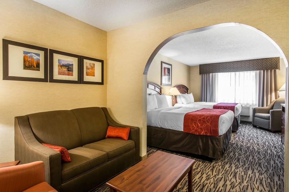 Comfort Suites At Evergreen Parkway 17/48