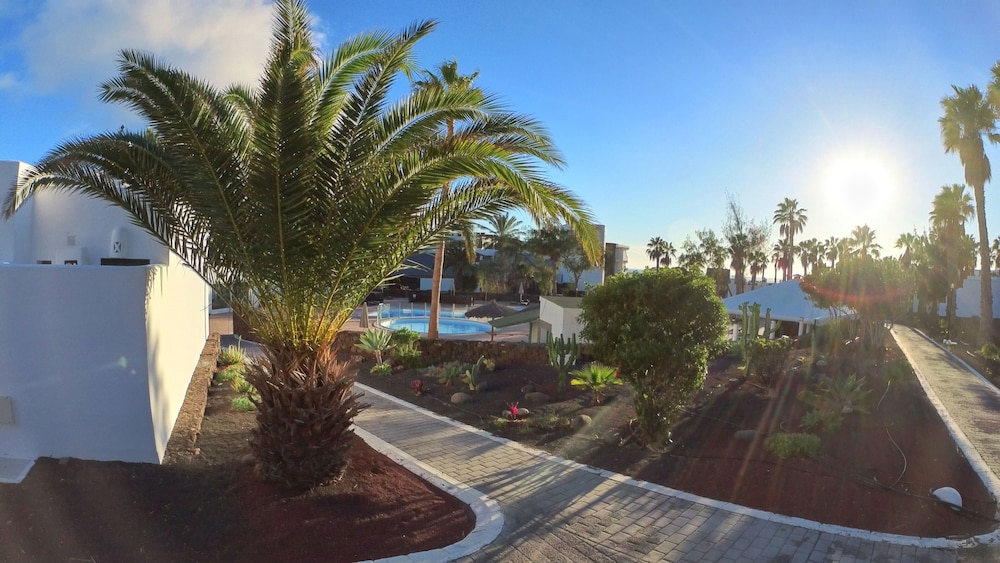 Palmeras Garden 55/62