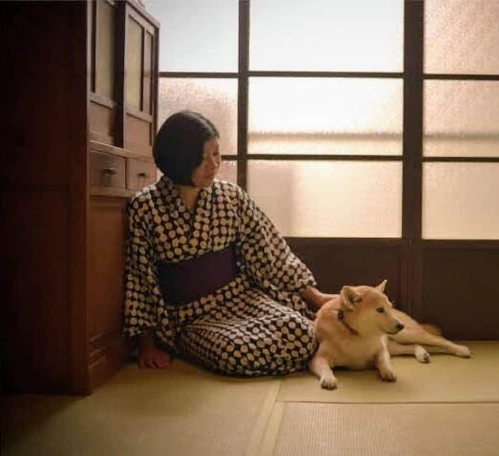 Guesthouse Irodori Kamakura 25/44