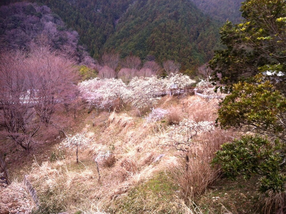 Hinotanionsen Misugi Resort 46/50