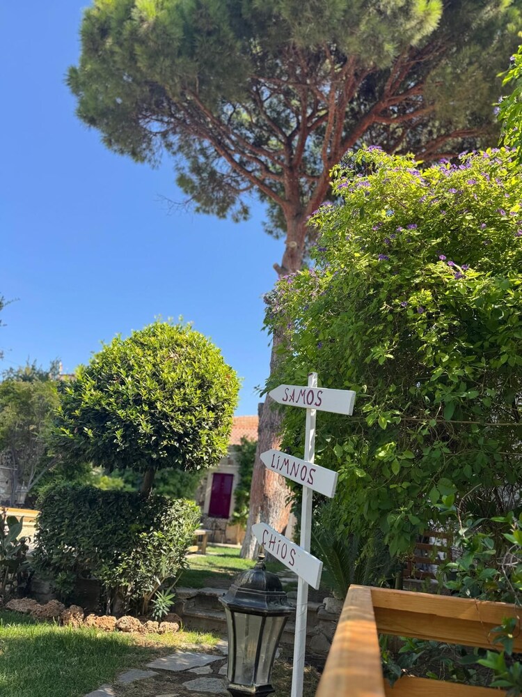 Mi Amor Phokaia Konuk Evi Foca 19/22