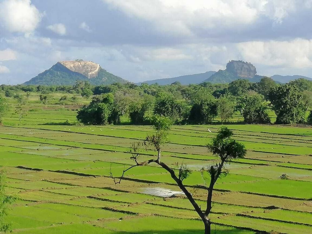 Organic Garden Sigiriya 44/50