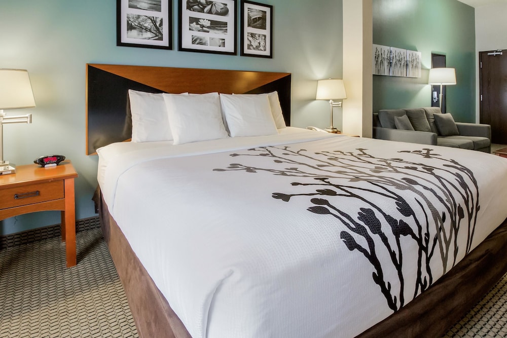 Sleep Inn & Suites Rapid City 11/35