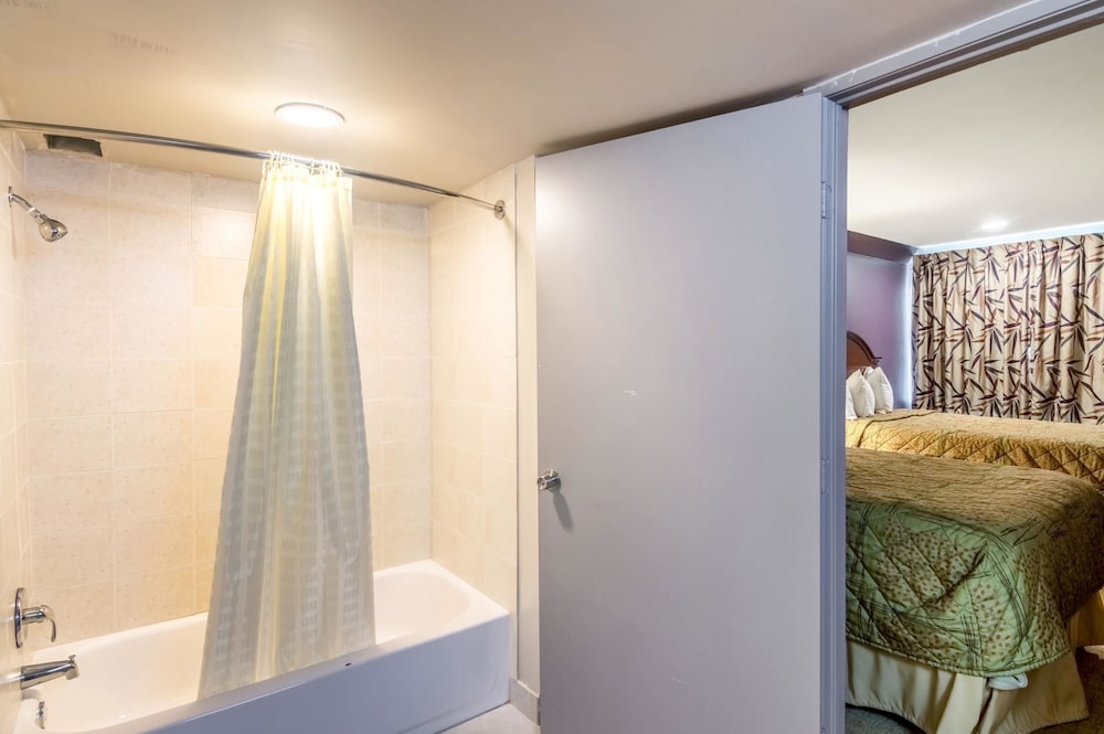 Rodeway Inn Arlington Entertainment District Area 22/41