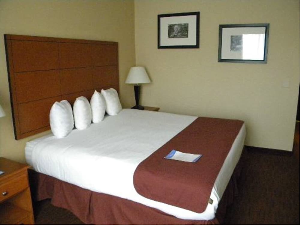 Baymont by Wyndham Savannah/Garden City 26/56