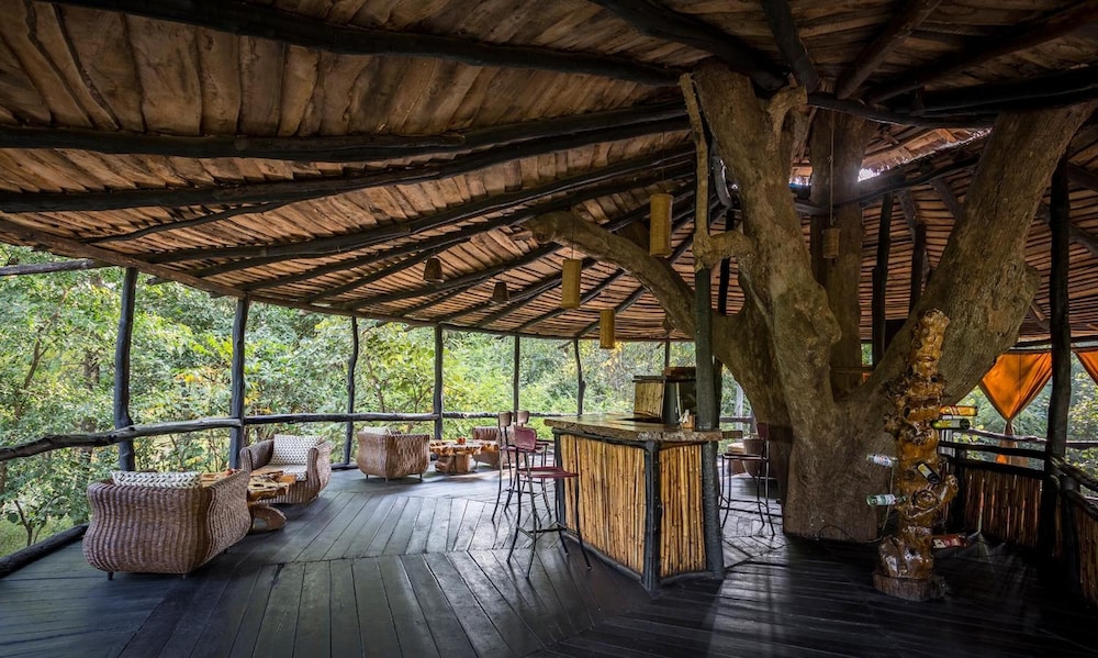 TREE HOUSE HIDEAWAY 2/50