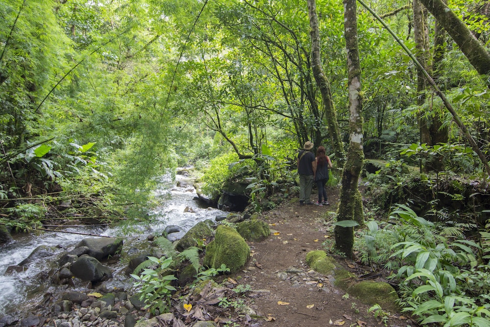 Bosque de Paz Lodge y Reserva Biologica 53/58