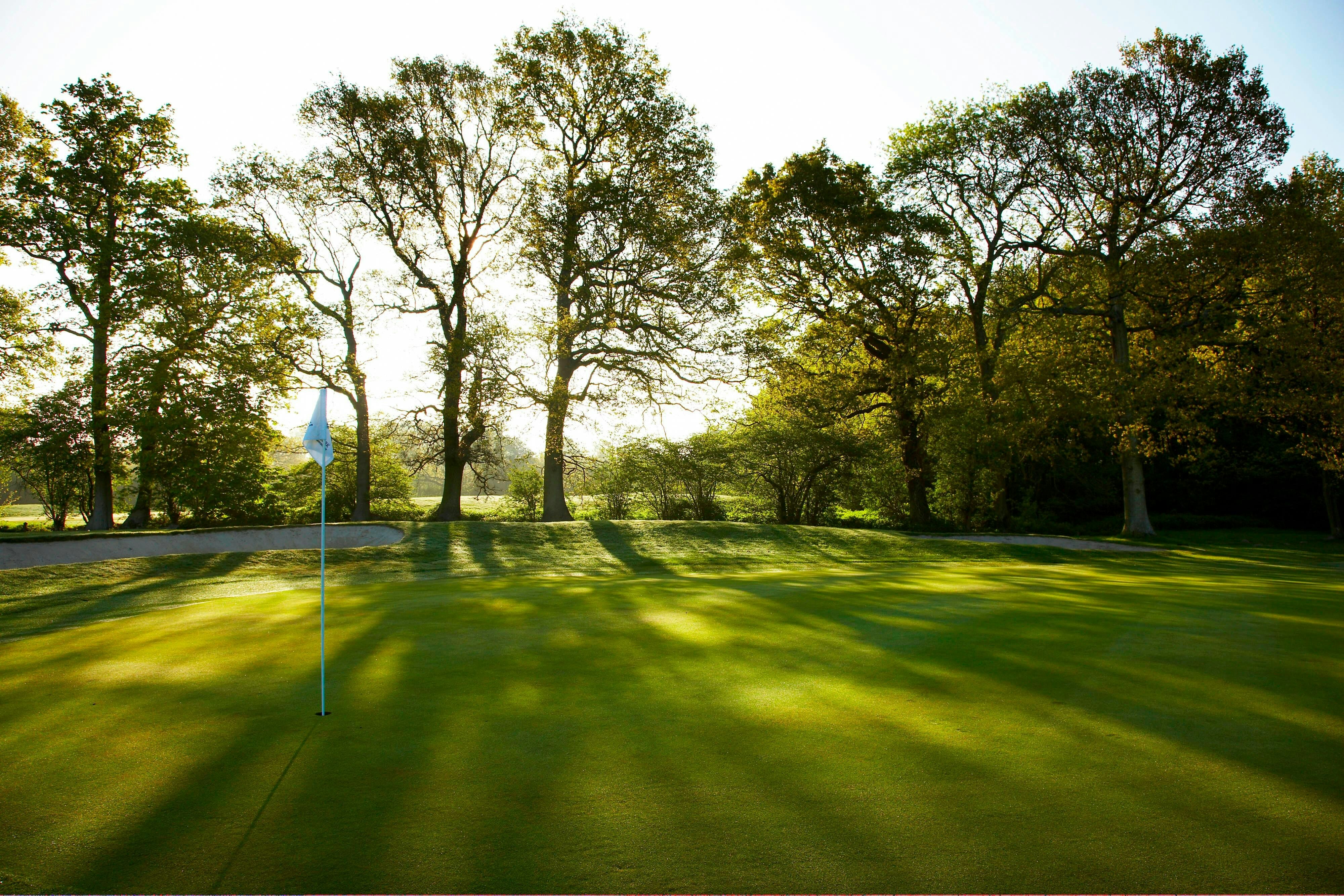 Lingfield Park Marriott Hotel Country Club 14/16