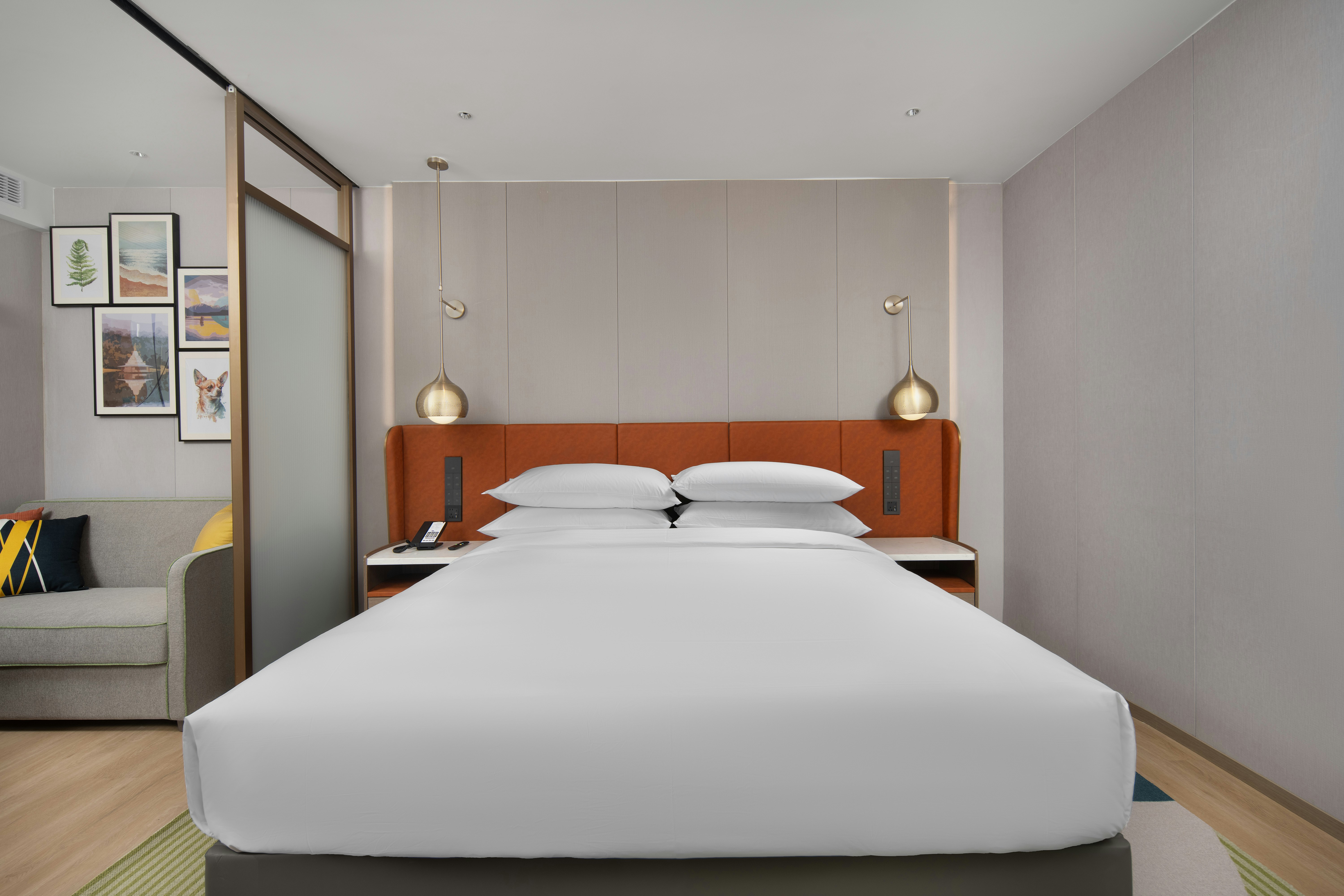 Home2 Suites by Hilton Linzhi Yutuolu 21/61