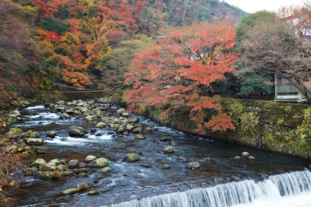 Fukuzumiro 48/50
