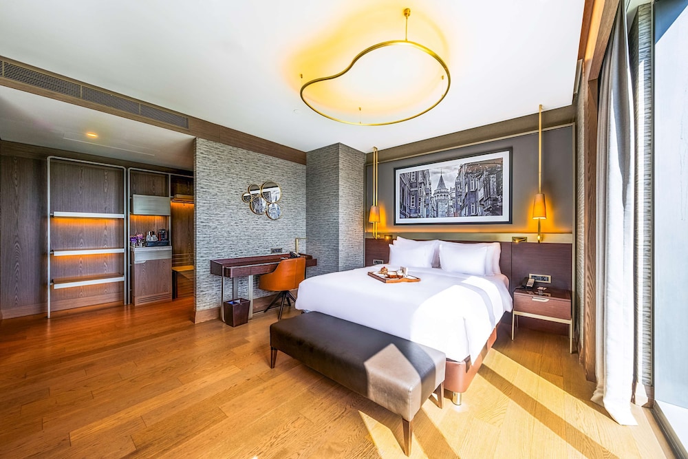 Radisson Collection Hotel Vadistanbul 28/75
