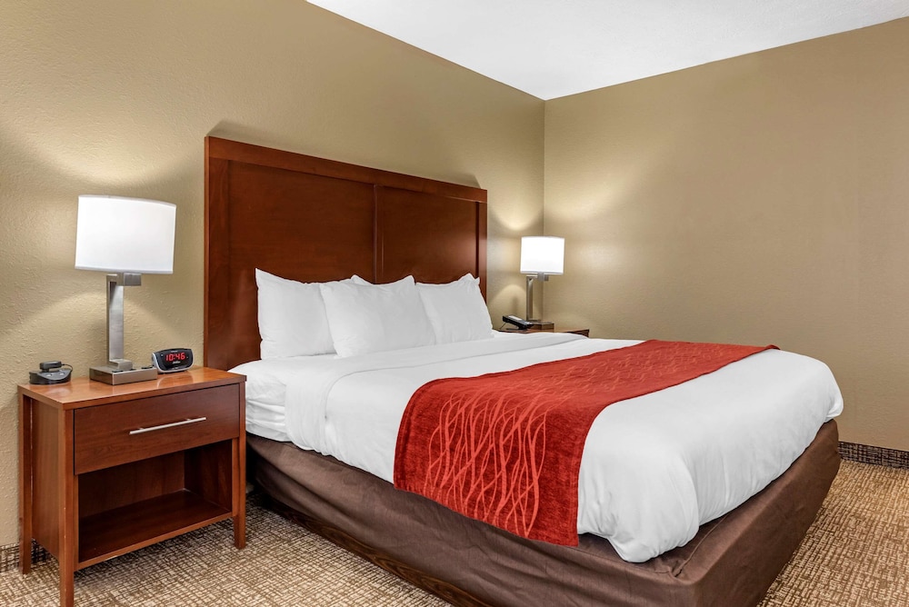 东门凯富套房酒店(Comfort Inn & Suites Cincinnati Eastgate) 图片4