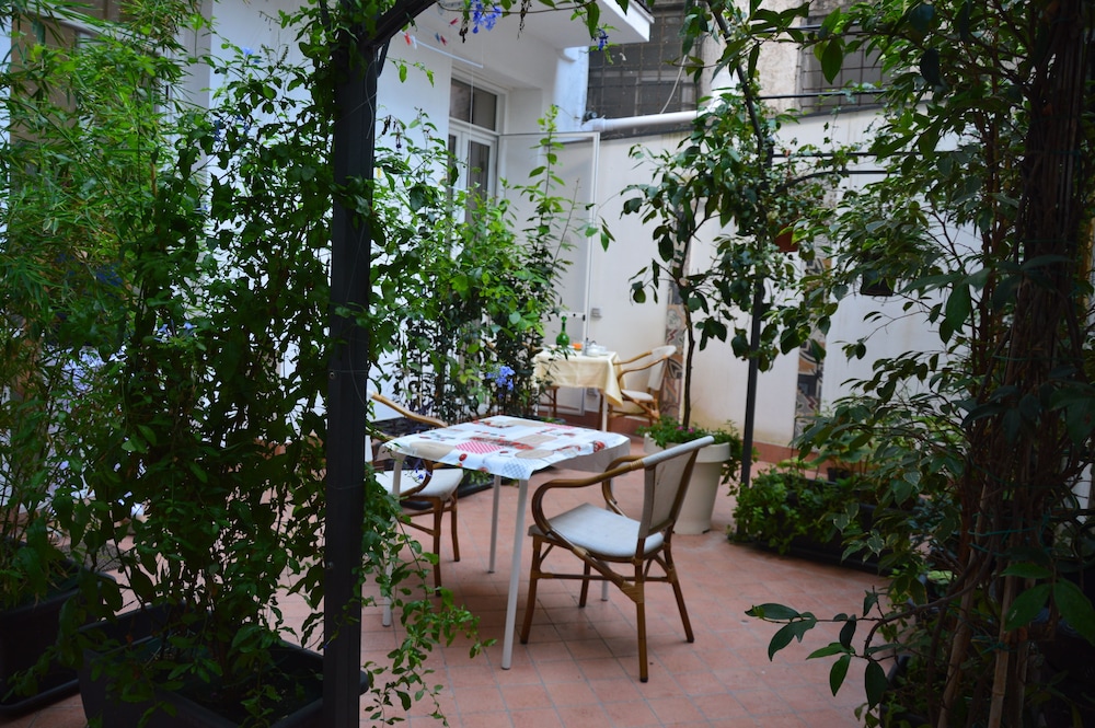 Petrucci Garden 36/50