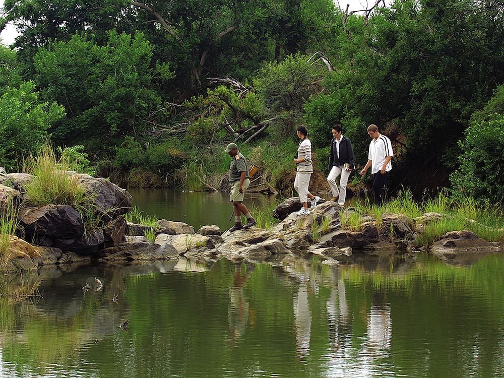 MADIKWE RIVER LODGE 31/42