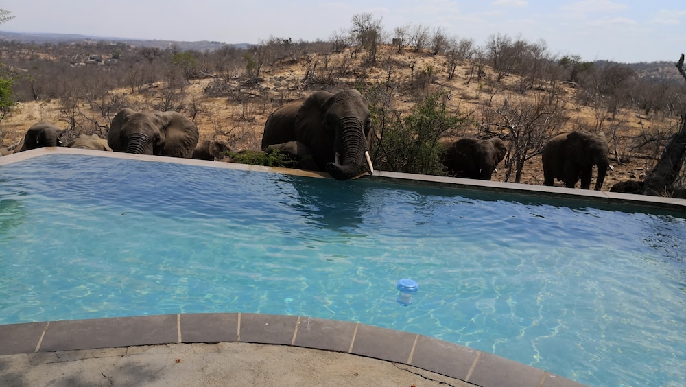 Mbizi Bush Lodge 49/50