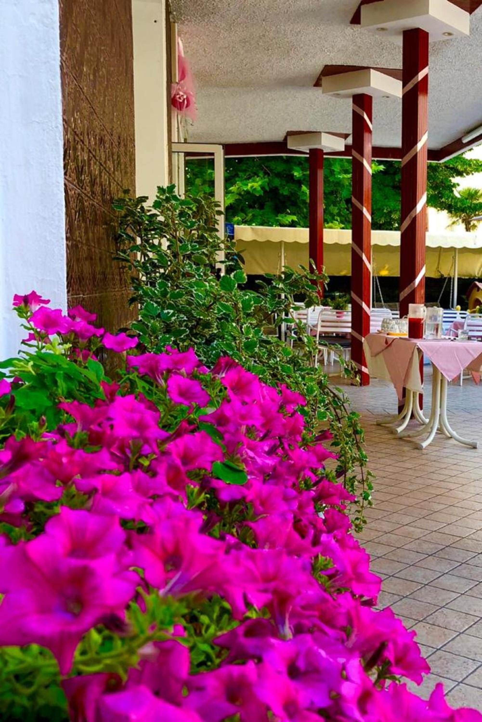 Hotel Alessi Rimini 45/50