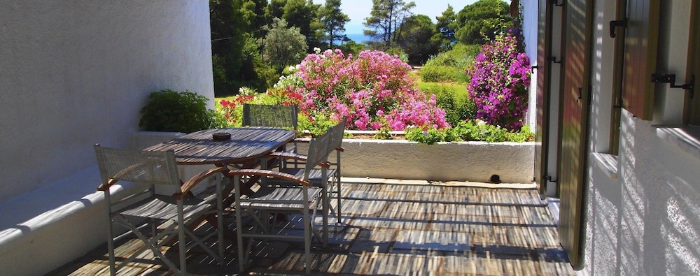 Skiathos Holidays Hotel 5/63