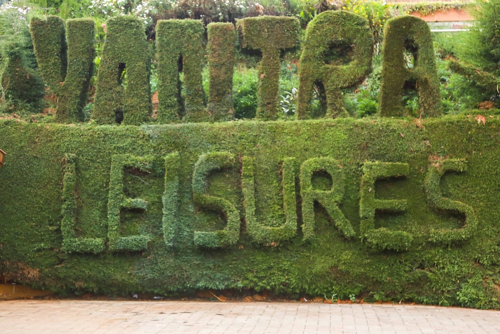 Yantra Resort By Spree 40/50