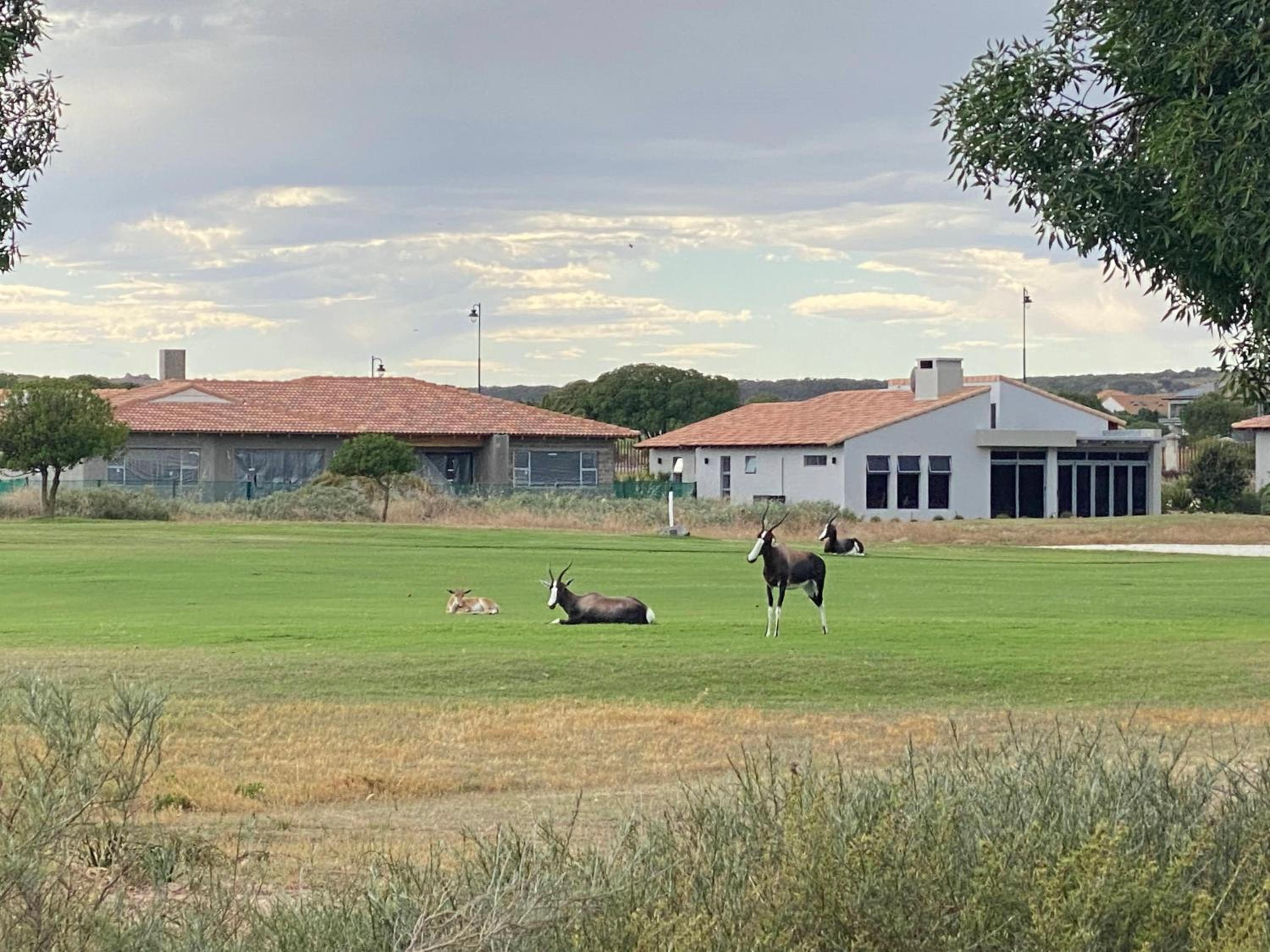 Santa Maria-Langebaan Country Estate 42/50