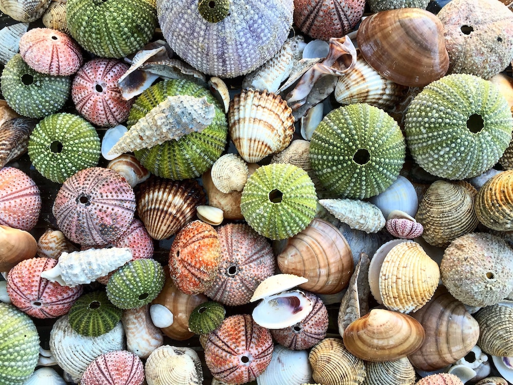KALYON CESME 写真5