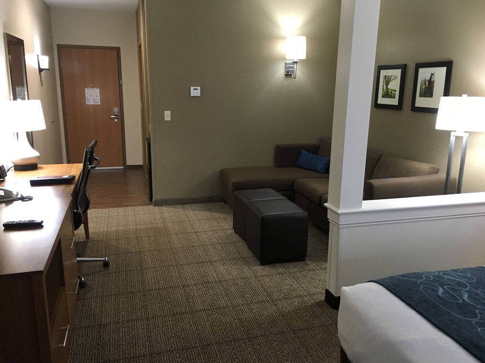 Comfort Suites Hotel and Conference Center, Berlin OH 17/36