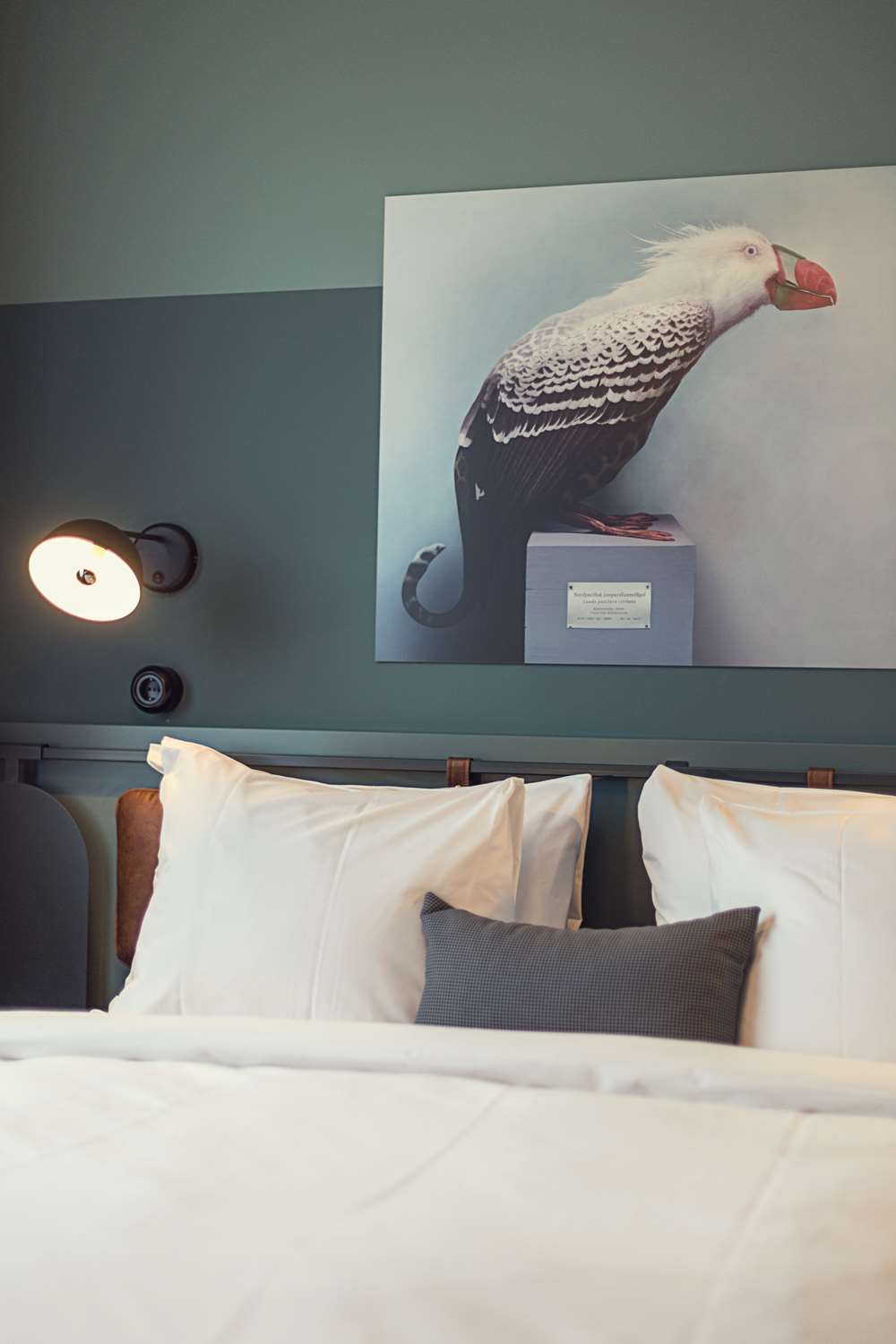 Best Western Plus Hus 57 5/17