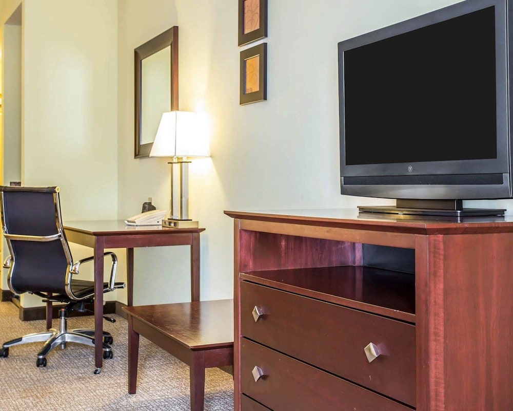 Comfort Suites Rock Hill Manchester Meadows Area 23/25