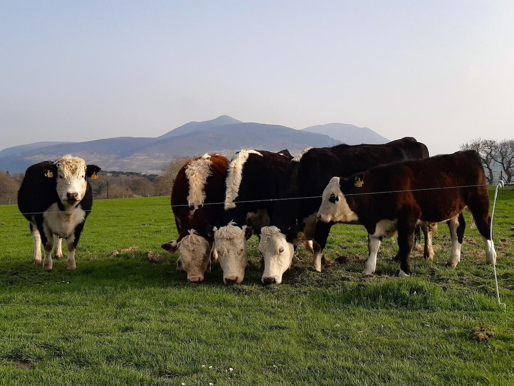 Inveraray Farm 44/46