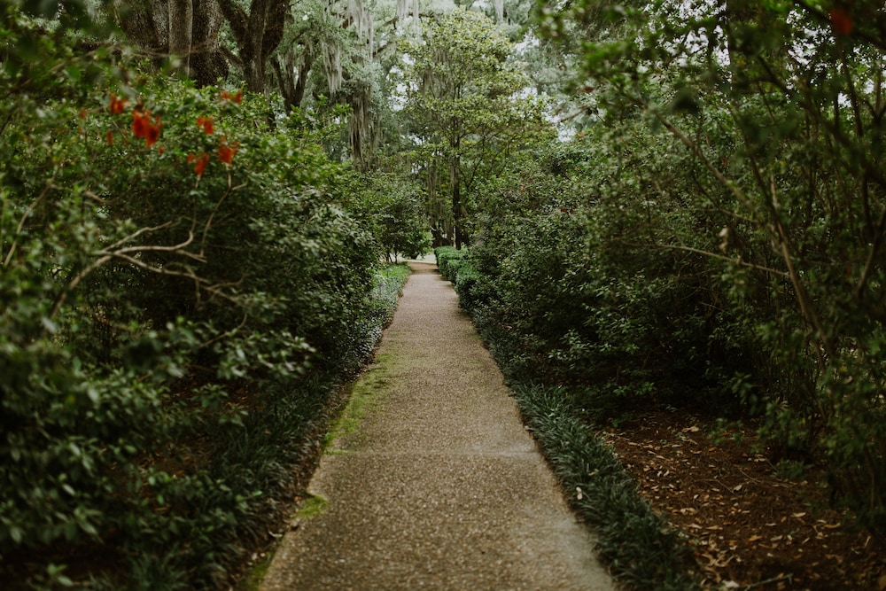 The Myrtles 39/50