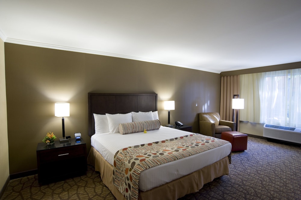 Airtel Plaza Hotel and Conference Center 16/62