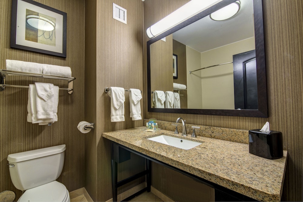 Holiday Inn Arlington Ne Rangers Ballpark 25/69