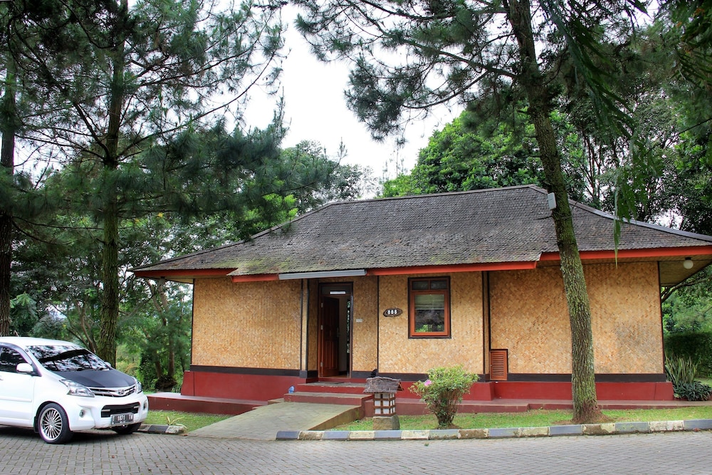 Sari Ater 31/43