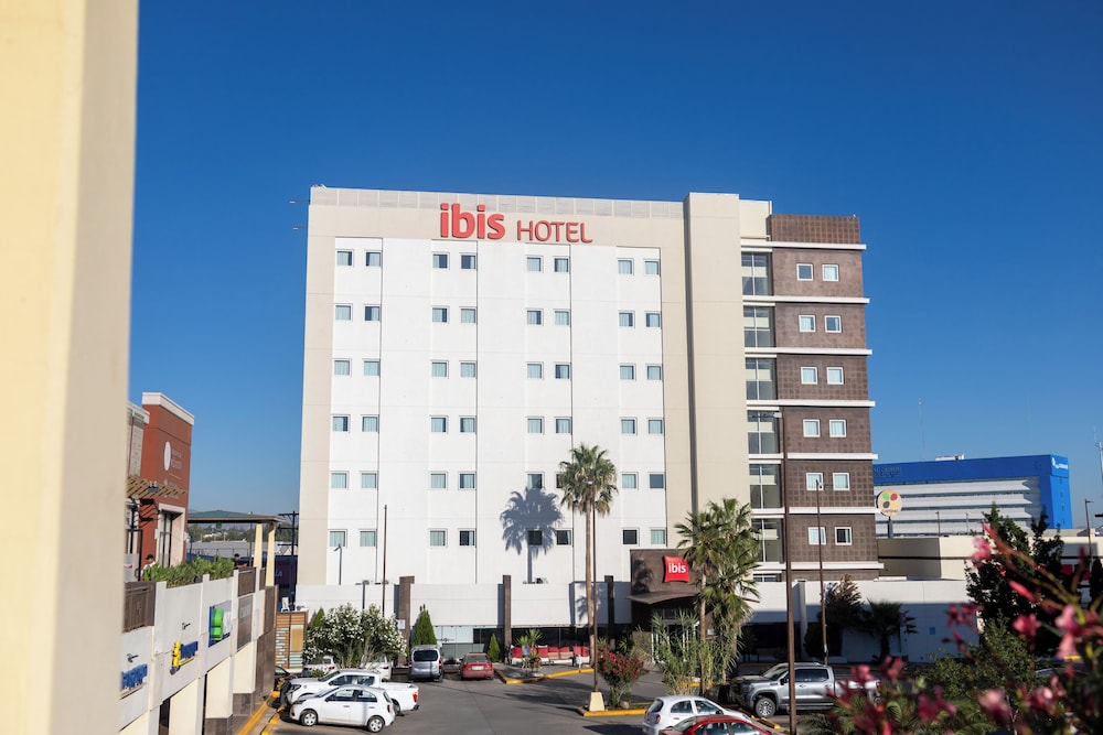 Ibis Chihuahua 1/50