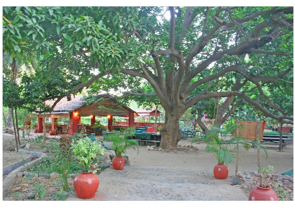 WelcomHeritage Maharani Bagh Orchard Retreat 45/47