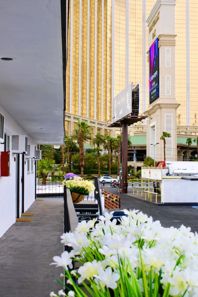 Nirvana Hotel 20/29