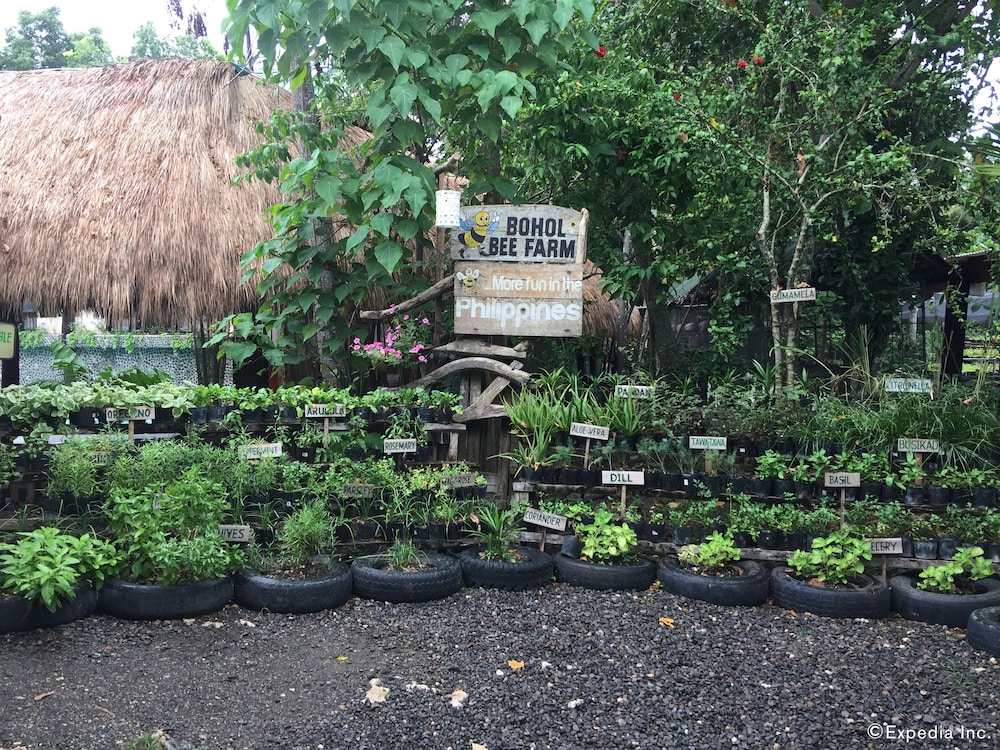 Bohol Bee Farm 63/75