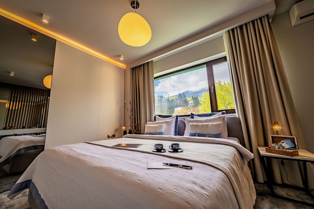 Hotel Rina Sinaia 9/50