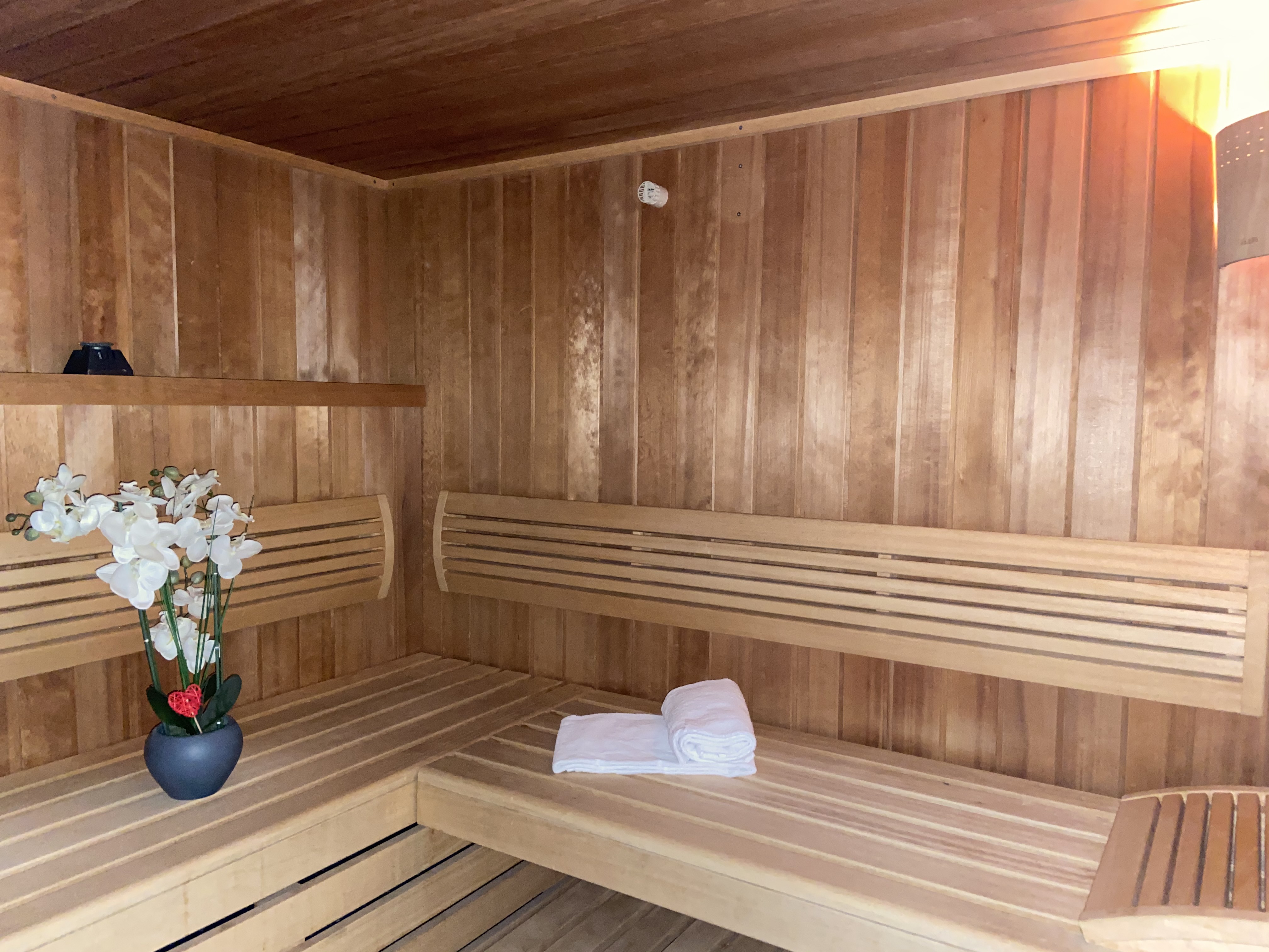 HOTEL LE CALME DES PINS SPA 28/43