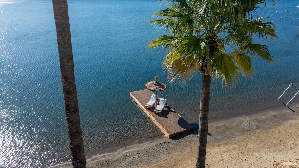 Ideal Prime Beach 39/50