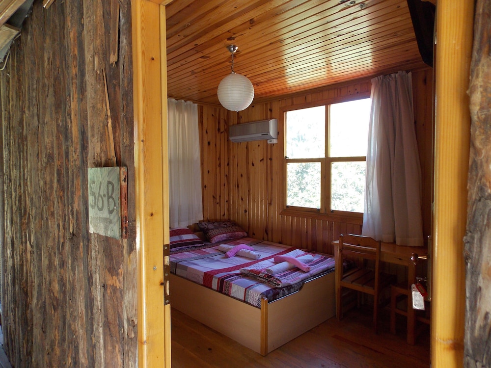 Olympos Orange 16/50