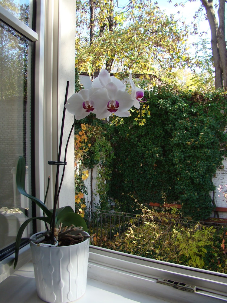 Boutique Hotel 16 45/50