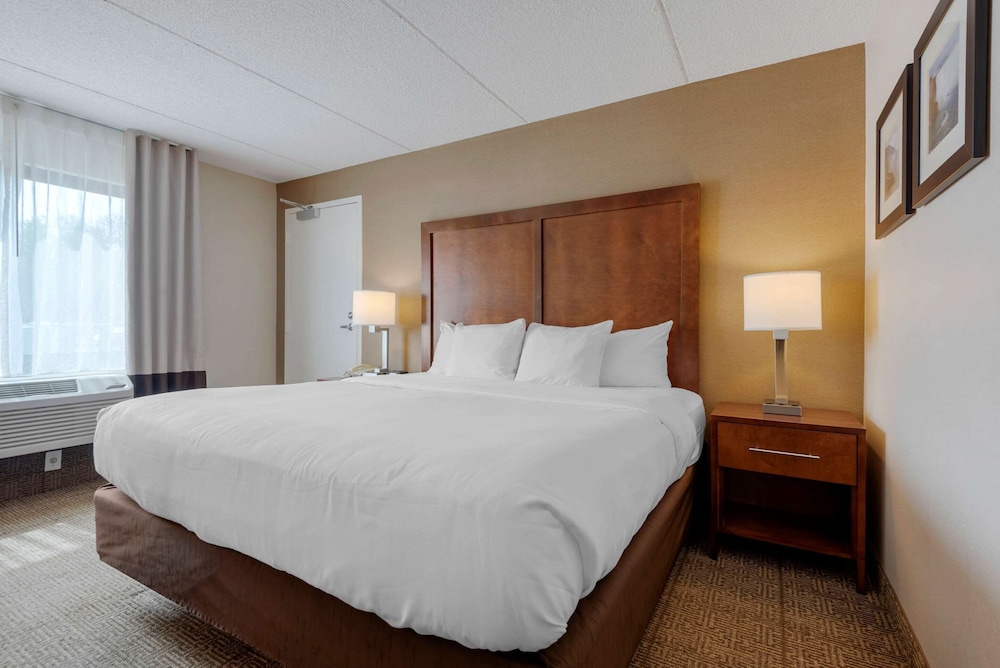 Comfort Inn The Pointe Niagara Falls, NY 11/47