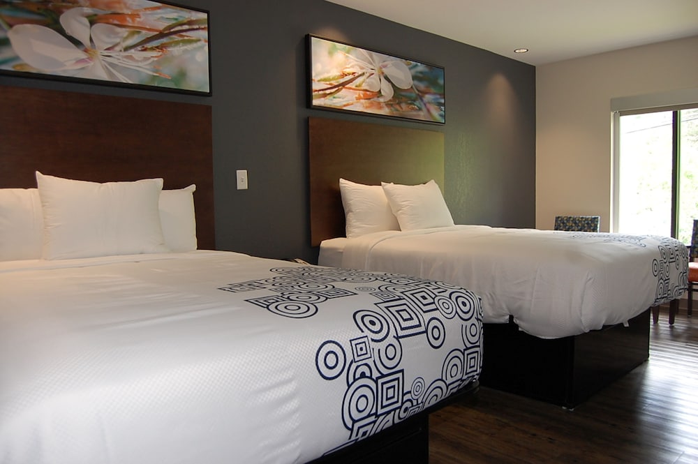 Vacation Lodge 14/65