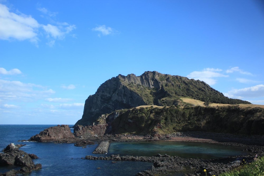 Sea Dragon Pension 32/37