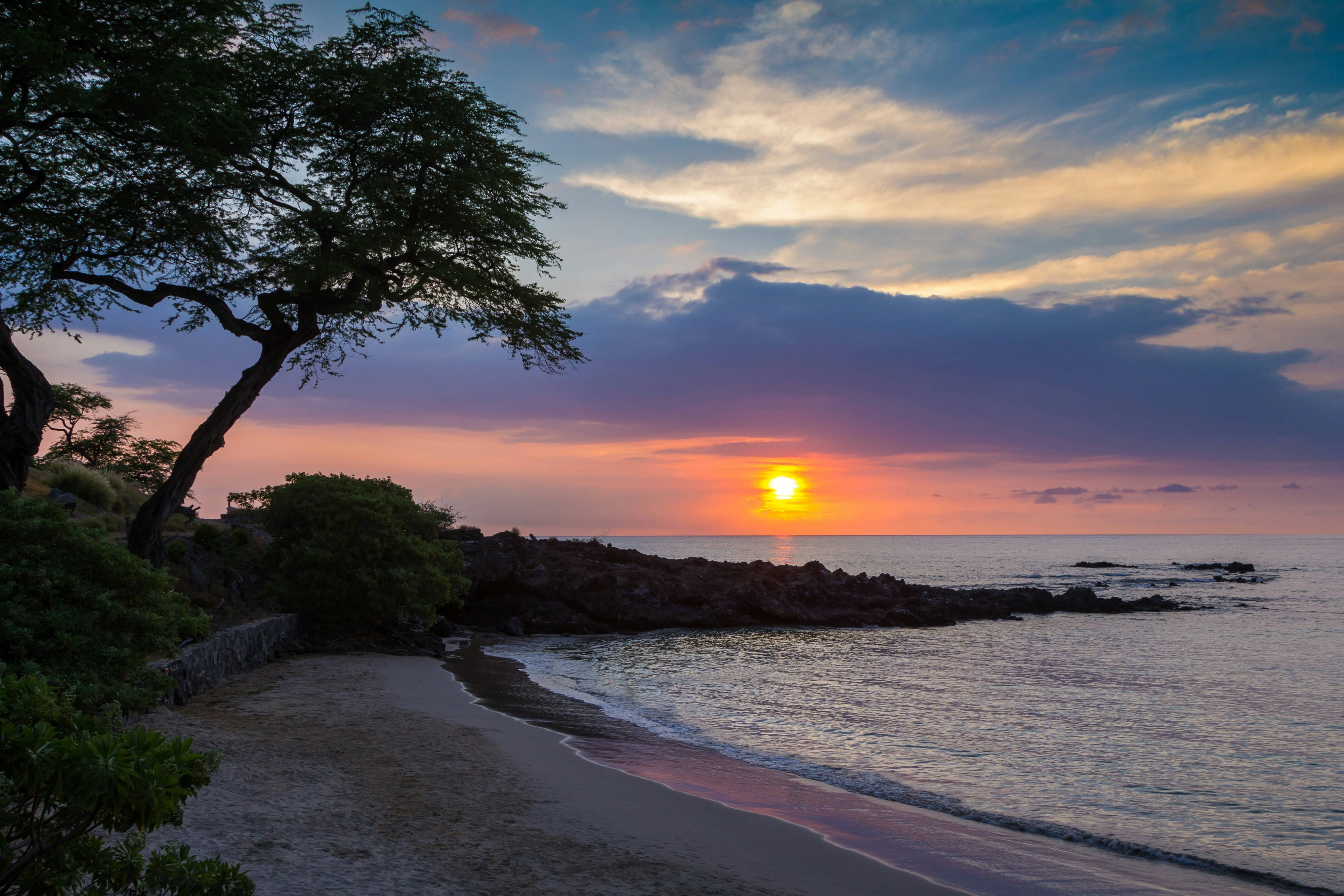 Mauna Kea Beach Hotel, Autograph Collection 48/50