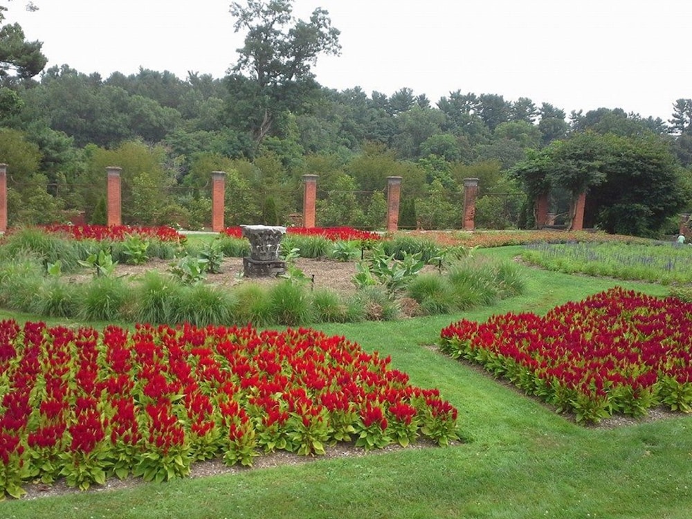 surroundings